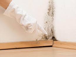 Best Commercial Mold Inspection  in Cornelia, GA